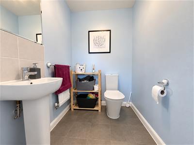 Picture 7
